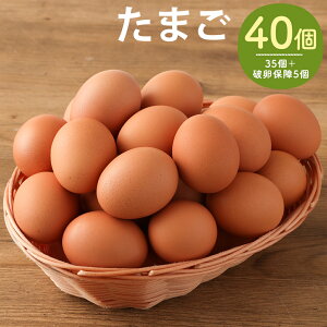 yӂ邳Ɣ[Łzl̑D ܂ 40(35{jۏ5)  { }s  ①  yVX[p[SALE 9J