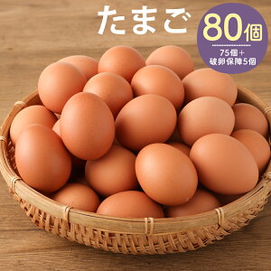 yӂ邳Ɣ[Łzl̑D ܂ 80(75{jۏ5)  { }s  ①  yVX[p[SALE 9J