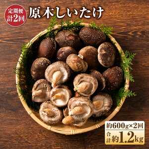 yӂ邳Ɣ[Łzy֌v2z؂ 600g×2  ő ̂ Y BY Y ①  yVX[p[SALE 9J