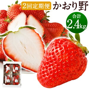 yӂ邳Ɣ[Łzy2ցz  v~A 300g×4pbN×2񂨓͂ v2.4kg   ʕ t[c Y BY y2026N1{`3{ɔ\z