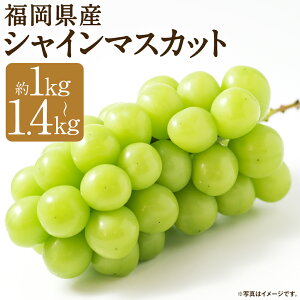 yӂ邳Ɣ[Łzs\ Y VC}XJbg1050g / 1.4kg Iׂe 1pbN350g Yn Ԃǂ Yn 1kg }s ʕ t[c BY ①  y2026N8