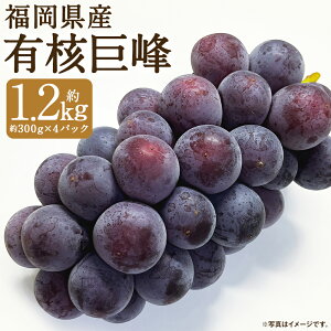 yӂ邳Ɣ[ŁzY Lj ʌ v1.2kg 300g×4pbN  Yn Ԃǂ }s ʕ t[c BY ①  y2026N6{`8{ɏ\z