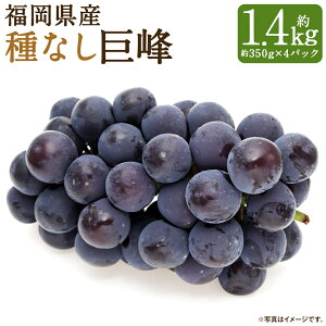 yӂ邳Ɣ[ŁzY Ȃ ʌ v1.4kg 350g×4pbN  Ȃ Yn Ԃǂ }s ʕ t[c BY ①  y2026N6{`8{ɏ\