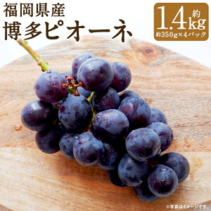 yӂ邳Ɣ[ŁzY sI[l ʌ v1.4kg 350g×4pbN Ԃǂ sI[l Ȃ Yn }s ʕ t[c BY ①  y2026N6{`8{ɏ