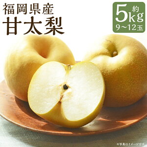 yӂ邳Ɣ[ŁzÑ 5kg 9`12  }sY Y B a t[c ʕ  y2026N9{`9{ɏ\z