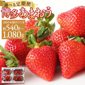 yӂ邳Ɣ[ŁzyIׂցz ܂ 540g/1kg 2/3 Iׂ e  C`S  ʕ ̃t[c Y BY y2026N1{菇
