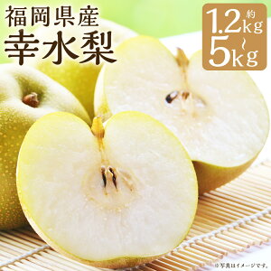 yӂ邳Ɣ[ŁzK 1.2kg`1.5kg/3kg/5kg Iׂe  K }sY Y B a t[c ʕ  y2026N7{8{ɏ\z