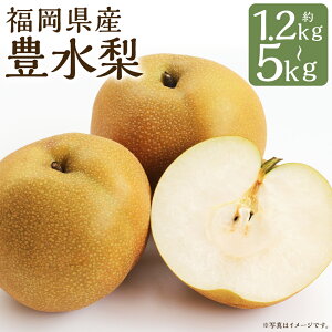 yӂ邳Ɣ[ŁzL 1.2kg`1.5kg/3kg/5kg Iׂe  L }sY Y B a t[c ʕ  y2026N8{`9{ɏ\z