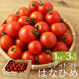 【ふるさと納税】＜選べる内容量＞ミディトマト はなひめ 約1kg / 約2kg / 約3kg 【7月～11月発送不可】 フルティカ 中玉 トマト 野菜 JAオリジナルブランド 福岡県産 九州産 福岡県 筑後市 送料無料