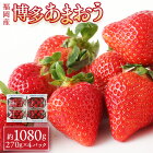 【ふるさと納税】いちご「あまおう」270g×4パック合計1080g1kg以上イチゴ苺果物くだものフルーツ送料無料【2022年1月～3月に順次発送予定】 