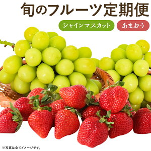 yӂ邳Ɣ[Łzyv2ցzʌ {̃t[c VC}XJbgE܂ ʕ t[c  Y BY 