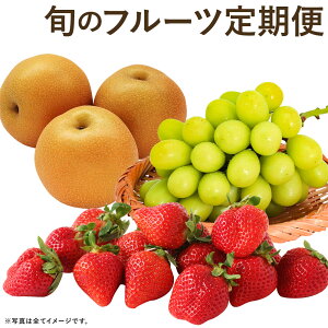 yӂ邳Ɣ[Łzyv3ցzʌ {̃t[cցiEVC}XJbgE܂j ʕ t[c  Y BY  y2026N7{珇\