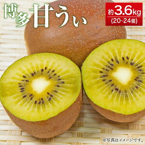 yӂ邳Ɣ[ŁzÂ 3.6kg 20`24 LEC t[c ʕ uh Y BY Y y2025N10{`11{ɏ\z