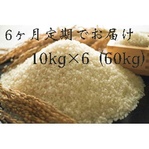 yӂ邳Ɣ[ŁzS6 sYqmqJ(2024NHn̂)10kg×6 |      60L Hi CX ߘa5N    ͂ lC  