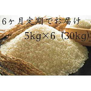 yӂ邳Ɣ[ŁzS6 sYqmqJ(2024NHn̂)5kg×6 |      30L Hi CX ߘa5N    ͂ lC  