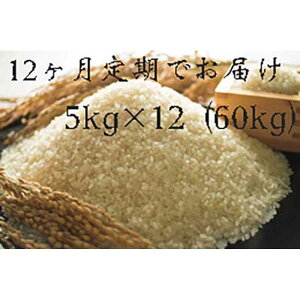 yӂ邳Ɣ[ŁzS12 sYqmqJ(2024NHn̂)5kg×12 |      60L Hi CX ߘa5N    ͂ lC  