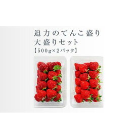 【ふるさと納税】【2026年1月～4月出荷分予約販売】武下さんちのあまおう 中玉盛り合わせ1000g（500g×2パック） | 完熟 盛り合わせ 食べ物 取り寄せ お取り寄せ グルメ ご当地 フルーツ 果物 くだもの