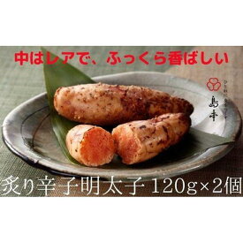 【ふるさと納税】炙り辛子明太子120g×2個 | 明太子 めんたいこ あぶり 炙り明太子 炙りめんたいこ おかず おつまみ 福岡 10000円 1万円