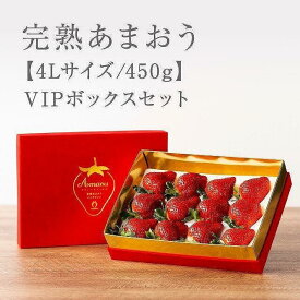 【ふるさと納税】【2026年1月～4月出荷分予約販売】★希少4Lサイズ 450g ★赤のVIPボックスに入った宝石のような「完熟あまおう」！ | 取り寄せ お取り寄せ グルメ ご当地 あまおう いちご お歳暮 福岡県 イチゴ 苺 itigo 博多あまおう 高級 完熟 フルーツ