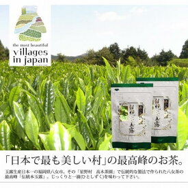 【ふるさと納税】奥八女星野村 伝統本玉露 50g×2袋＜八女茶＞