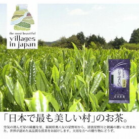 【ふるさと納税】奥八女星野村 深蒸し高級煎茶(深蒸し茶) 100g×1袋＜八女茶＞