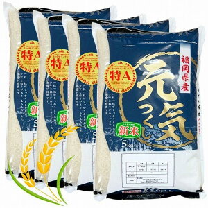 yӂ邳Ɣ[Łzyߘa7NYzYuhāuCv 20kg | C     ӂ   20L Hi lC   s u