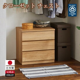 【ふるさと納税】クローゼット チェスト 幅60 3段 奥行44 オーク色 タンス 押入れ収納 衣類収納 桐 箪笥 大川家具 丸田木工 フィット | 家具 ファニチャー 人気 おすすめ 送料無料