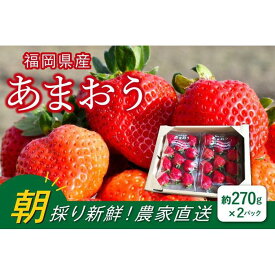 【ふるさと納税】福岡県産あまおう 約270g×2パック 朝採りイチゴ 農家直送 苺専用パッケージでお届け