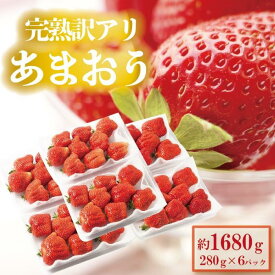 【ふるさと納税】【期間限定】訳あり あまおう イチゴ 280g×6（1680g）2024年4月～5月中旬発送 | 福岡県 大川市 福岡県大川市 ふるさと 納税 食べ物 取り寄せ お取り寄せグルメ ご当地 ご当地グルメ いちご イチゴ 苺 あまおう苺 特産品 名産 フルーツ お取り寄せフルーツ