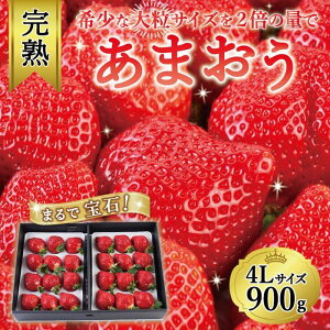yӂ邳Ɣ[Łzy2026N1`4oו\̔zYł钴nI 傫嗱4LTCYI񂿂́un܂vy450gE900gz| ܂  Hו 
