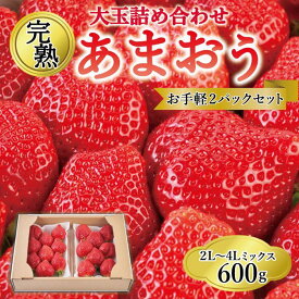 【ふるさと納税】【出荷期間は1月～4月末】ご家族での味見にもOK！お手軽2パックセット！大玉詰め合わせ 600g | 福岡県 大川市 福岡県大川市 ふるさと 納税 食べ物 取り寄せ お取り寄せ グルメ ご当地 あまおう いちご イチゴ 苺