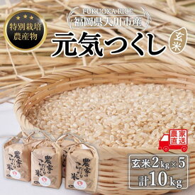 【ふるさと納税】玄米(特別栽培農産物)元気つくし 2kg×5袋 (計10kg)