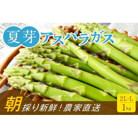 【ふるさと納税】【朝採り直送】夏芽アスパラガス 1kg（2L-Lサイズ）福岡県産 2024年