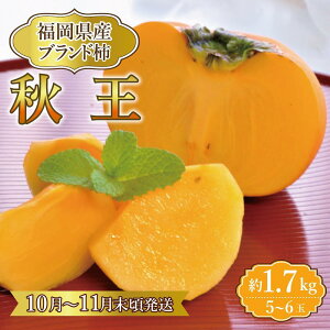 yӂ邳Ɣ[ŁzyYzH 1.7kg