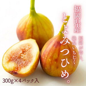 �y�ӂ邳�Ɣ[�Łz�y2026�N9�����{��菇�������z�������Y �Ƃ�݂P ��1.2kg�ȏ�(��300g×4�p�b�N����) ���܂��܂�������