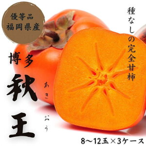 yӂ邳Ɣ[Łzy2025N11{菇zY HyDiz1.75kgȏ`10.5kgȏ ܂܂