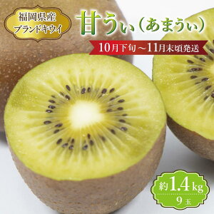 yӂ邳Ɣ[ŁzyYzLECwÂx 1.4kg