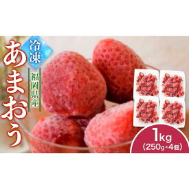 【ふるさと納税】福岡県産　冷凍あまおう1kg（250g×4個）