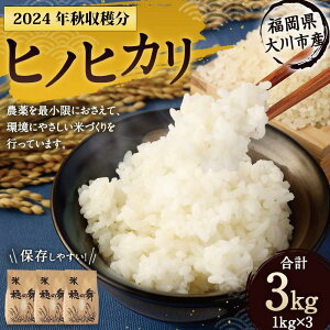 yӂ邳Ɣ[Łz2024NHn sYqmqJ 3kg |      3L Hi CX ߘa5N    ͂ lC   ӂ邳Ɣ[ 10000
