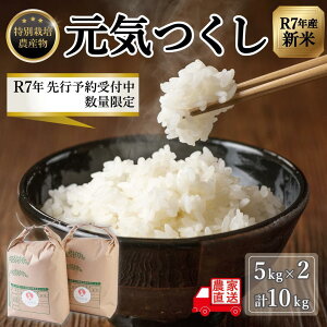 yӂ邳Ɣ[Łzyߘa7NxVāzs\t ʌ (ʍ͔|_Y)C 5kg×2 (v10kg)