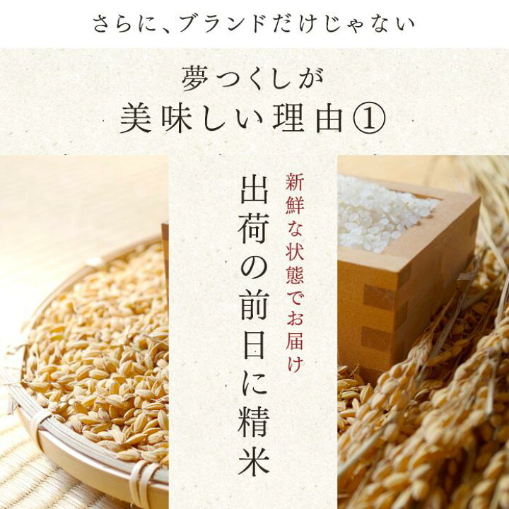 楽天市場】【ふるさと納税】令和6年産 福岡県産 米 夢つくし 5kg 10kg  