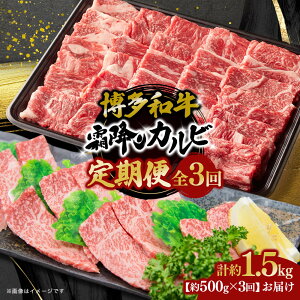 yӂ邳Ɣ[Łza ~Jr S3 500g×3 |   ɂ Hi