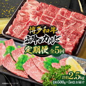 yӂ邳Ɣ[Łza ~Jr S5 500g×5 |   ɂ Hi
