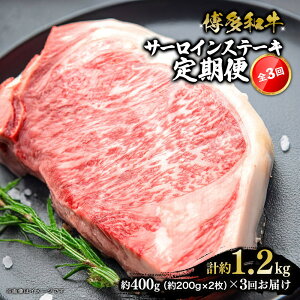 yӂ邳Ɣ[Łza T[CXe[L ֑S3 v1.2kg(400g(200g×2)×3) |   ɂ Hi