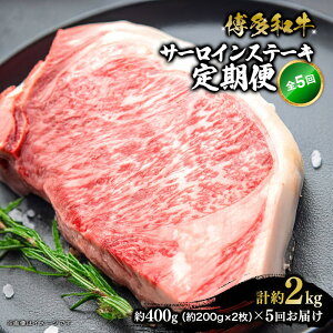 yӂ邳Ɣ[Łza T[CXe[L ֑S5 v2kg(400g(200g×2)×5) |   ɂ Hi