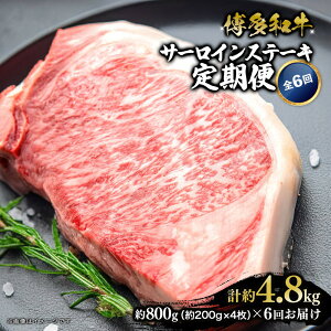 yӂ邳Ɣ[Łza T[CXe[L ֑S6 v4.8kg(800g(200g×4)×6) |   ɂ Hi