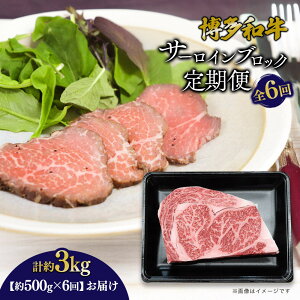 yӂ邳Ɣ[Łza T[CubN ֑S6 v3kg(500g×6) |   ɂ Hi