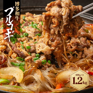yӂ邳Ɣ[Łza vRM 1.2kg ( 400g×3pbN ) | Hi HHi
