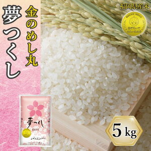 yӂ邳Ɣ[Łzߘa7N Y  ̂߂ۖ 5kg (1) | V     Y uh  5kg  s