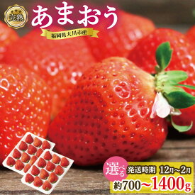【ふるさと納税】完熟 あまおう イチゴ 350g×2～4パック 選べる配送時期 ＜配送不可：北海道、沖縄県、離島＞ | 福岡県 大川市 福岡県大川市 食べ物 取り寄せ お取り寄せグルメ ご当地 ご当地グルメ いちご イチゴ 苺 あまおう苺 特産品 名産 フルーツ お取り寄せフルーツ